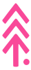 Pink Pine Media - New Icon 2025 Transparent